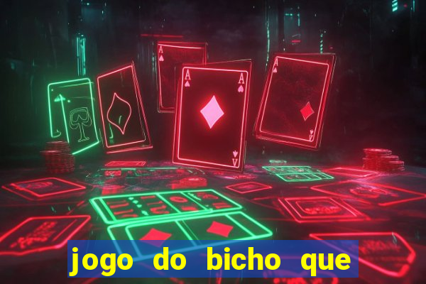 jogo do bicho que paga no pix